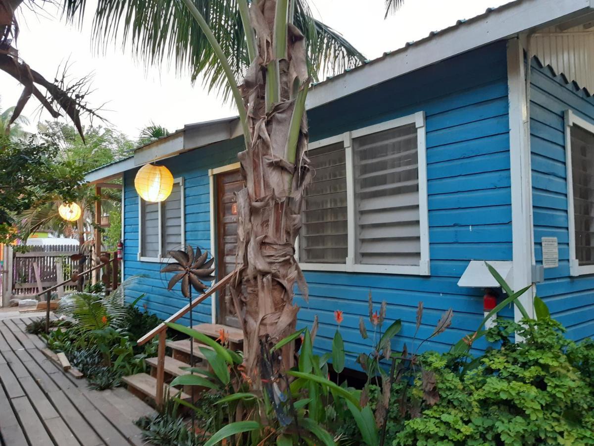 The Funky Dodo Backpackers Hostel Hopkins Bagian luar foto