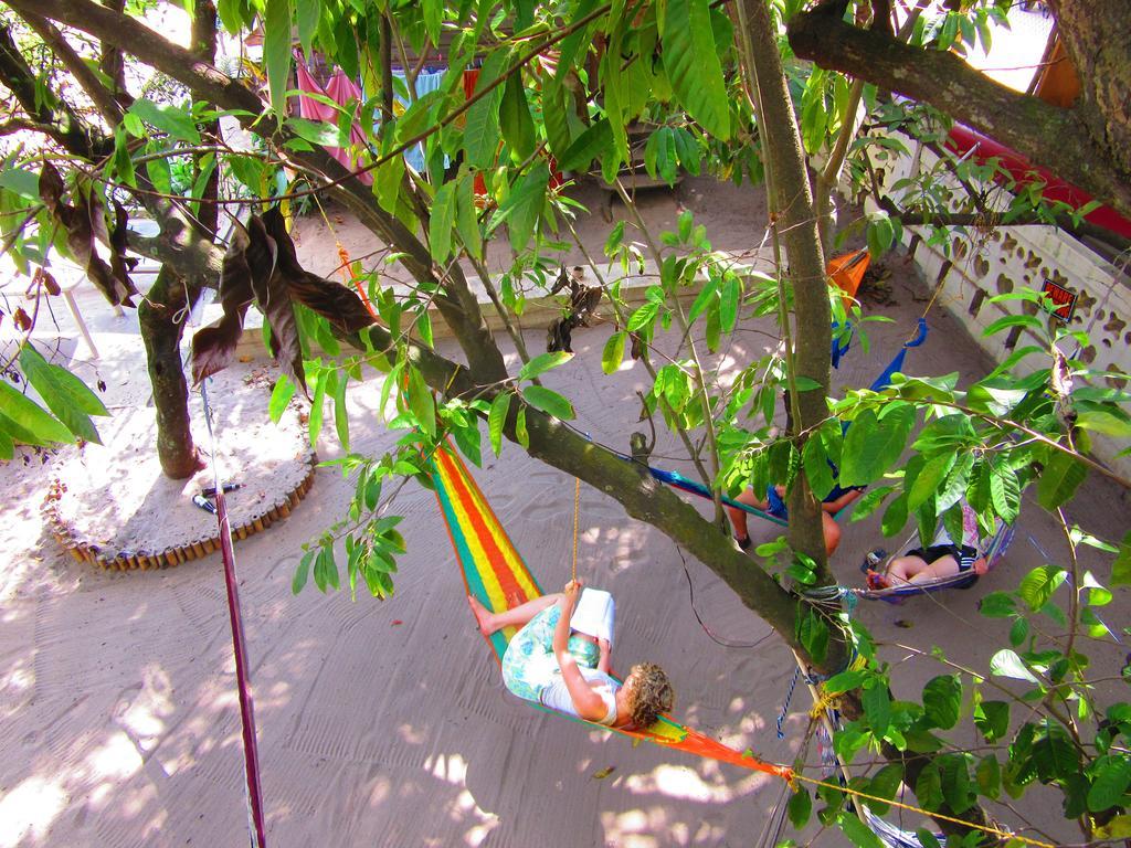 The Funky Dodo Backpackers Hostel Hopkins Bagian luar foto