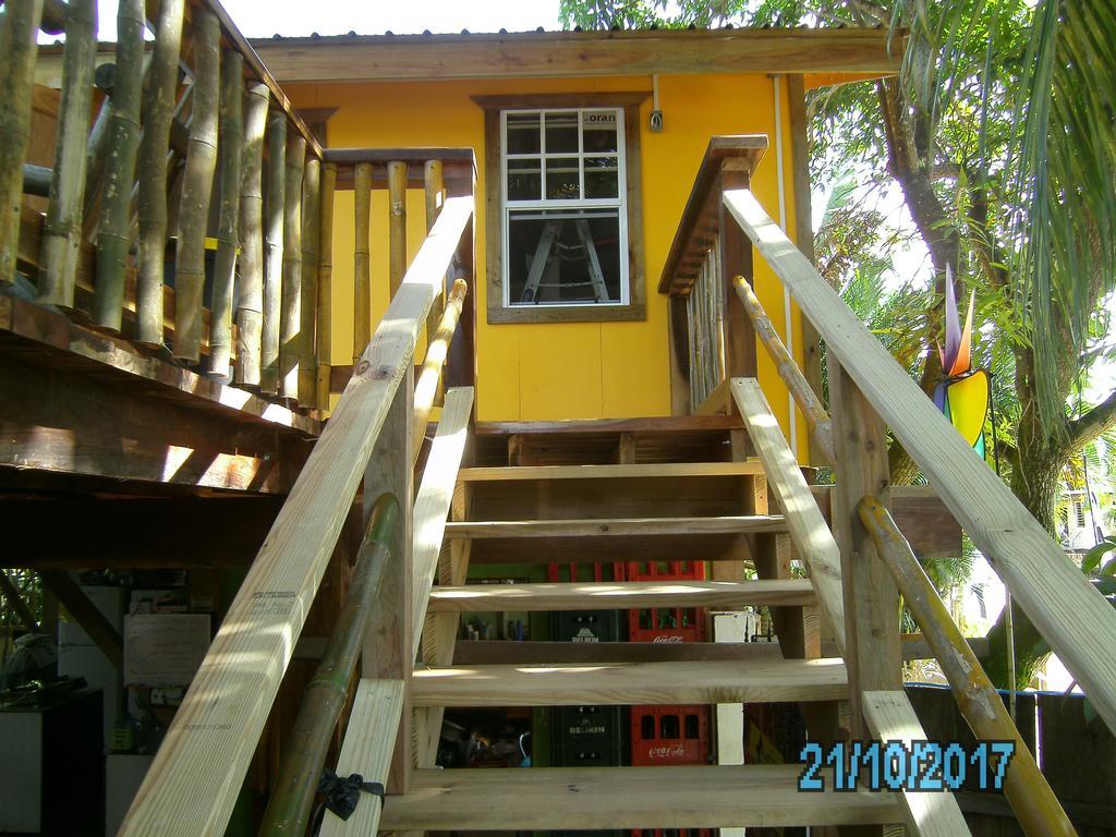 The Funky Dodo Backpackers Hostel Hopkins Bagian luar foto