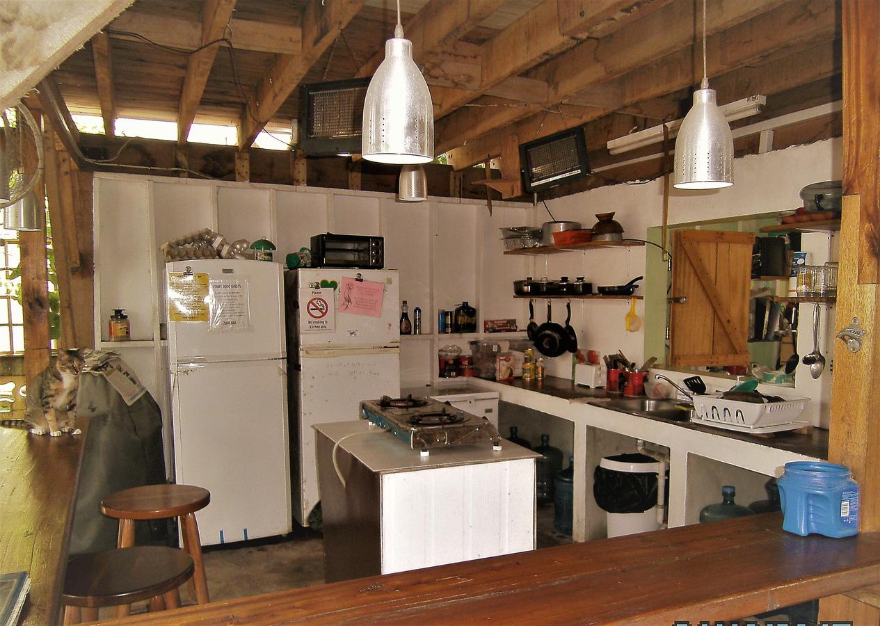 The Funky Dodo Backpackers Hostel Hopkins Bagian luar foto