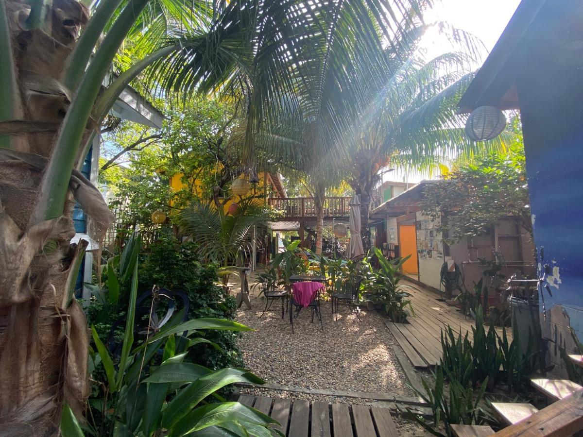 The Funky Dodo Backpackers Hostel Hopkins Bagian luar foto