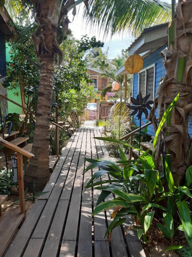 The Funky Dodo Backpackers Hostel Hopkins Bagian luar foto