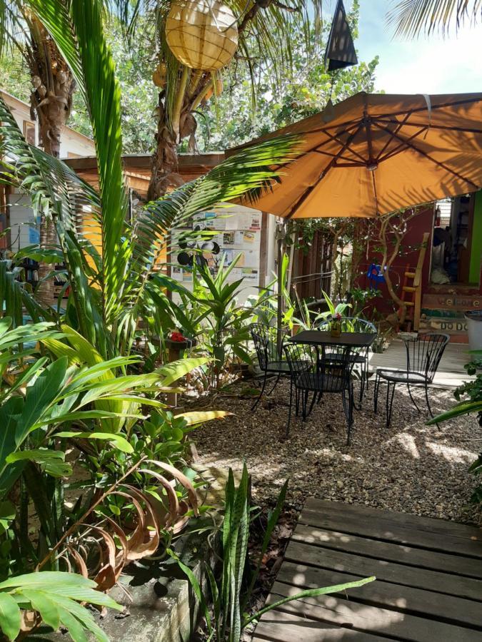 The Funky Dodo Backpackers Hostel Hopkins Bagian luar foto